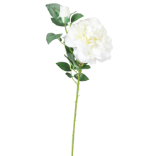 Róża Dekoracyjna z Młodym Pąkiem Biała - Wysokość 70 cm (DYJM-004)