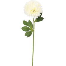 Biały Czosnek Dekoracyjny - Kwiat Pojedynczy, Długość 52 cm