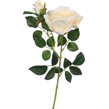 Gałązka róży z pąkiem w kolorze kremowym 70cm