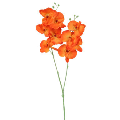 STORCZYK PODWÓJNY POMARAŃCZOWY