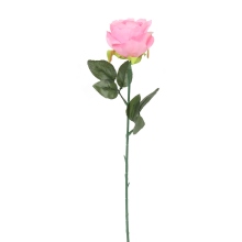 Róża pojedynka 68 cm w różowym kolorze