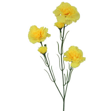 Sztuczna Gałązka Goździk&oacute;w w Kolorze Ż&oacute;łtym (5 sztuk, Długość 68 cm)
