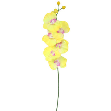 Gałązka storczyka dzwonkowatego w kolorze białym 60 cm