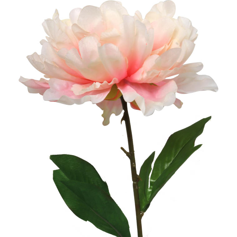 Sztuczna Piwonia w Kolorze Łososiowym o Długości 70 cm