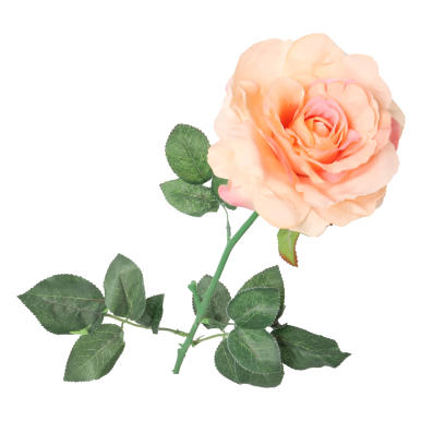 R&oacute;ża pojedyncza, rozwinięta w kolorze łososiowym 68 cm