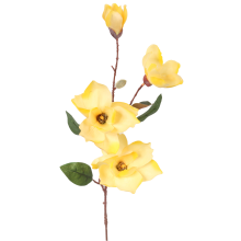 Gałązka 4 magnolii w kolorze żółtym