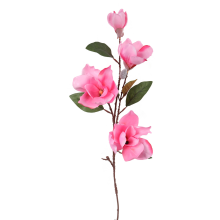 Gałązka 4 magnolii w kolorze różowym