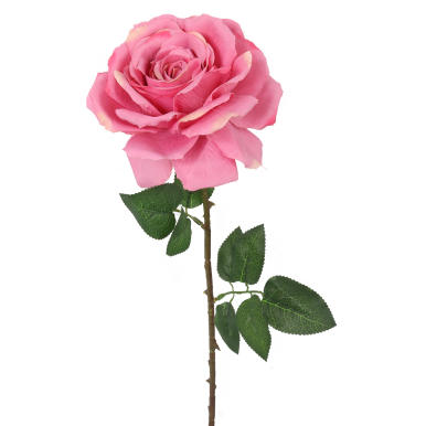 R&oacute;ża sztuczna z kolcami, R-11RR