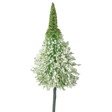 Sztuczny Kwiat - Zielony Czosnek 110 cm