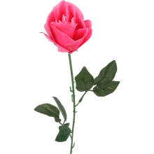 Róża pojedynka w kolorze różowym 68 cm