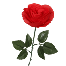 Róża pojedynka w kolorze czerwonym 68 cm