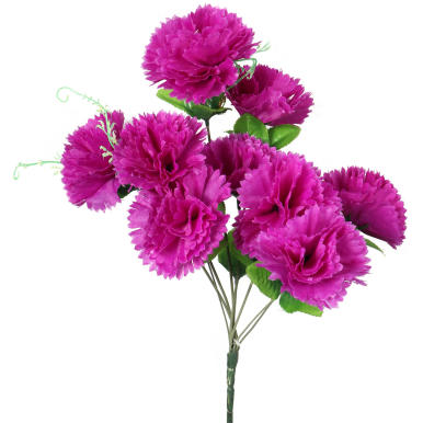 Bukiet 9 goździków z wąsami kolor fioletowy