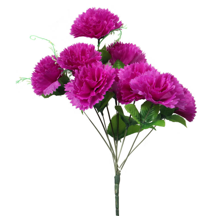 Bukiet 9 goździków z wąsami kolor fioletowy