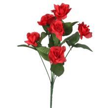 Bukiet 6 różyczek w kolorze czerwonym
