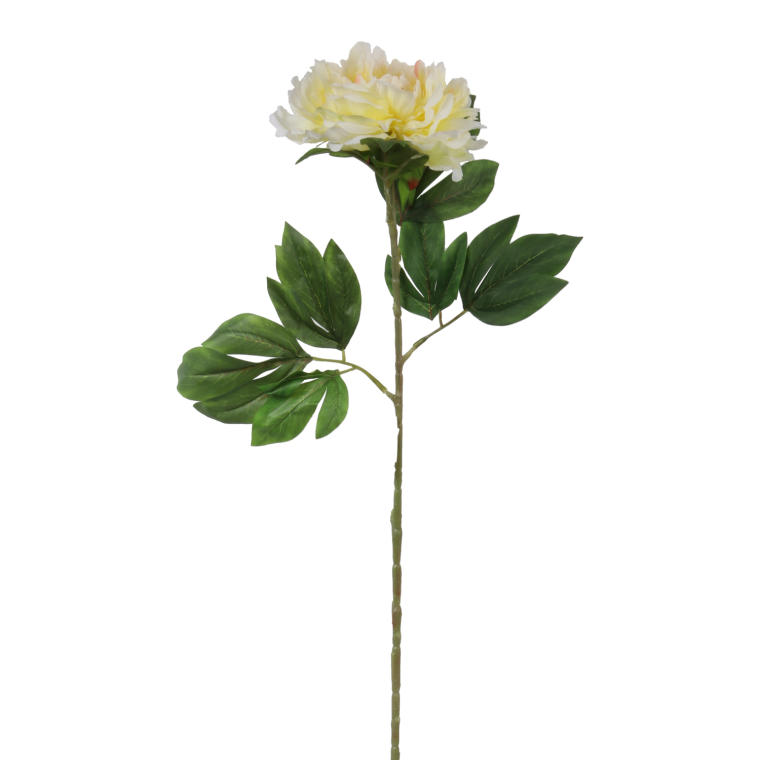 Piwonia Pojedyncza Żółta - Sztuczny Kwiat o Długości 74cm