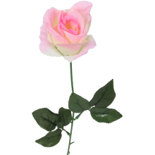 Róża pojedynka w kolorze jasno-różowym 68 cm