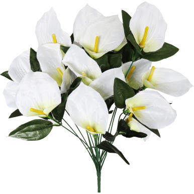 Bukiet 12 anturium w kolorze białym