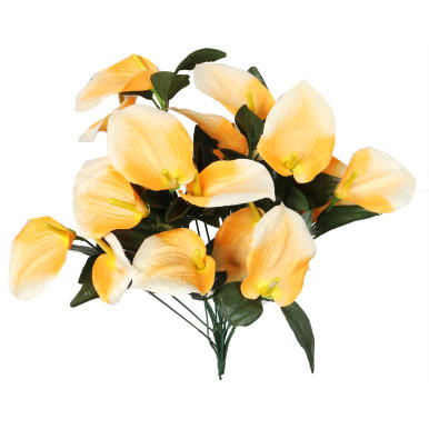 Bukiet 12 anturium w kolorze ż&oacute;łtym