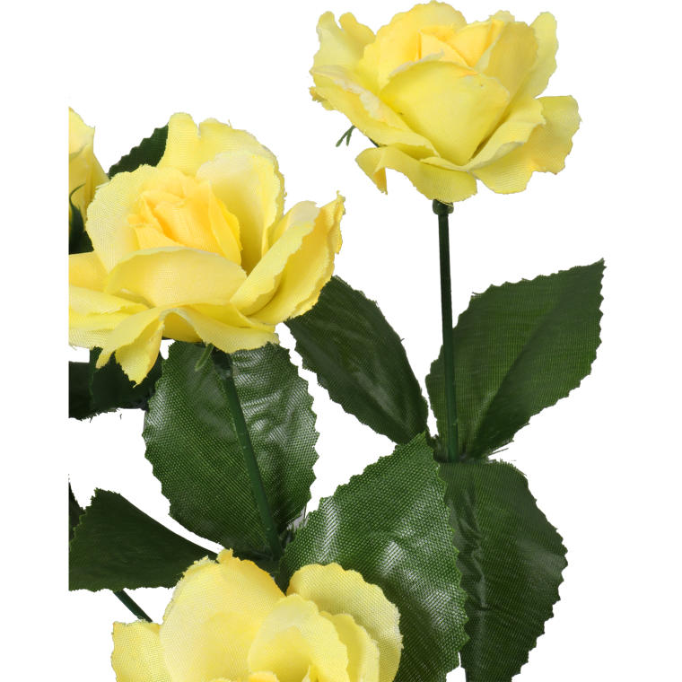 Bukiet 6 różyczek w kolorze żółtym