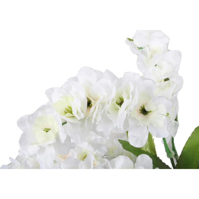 Bukiet 12 Białych Frezji o Wysokości 46 cm