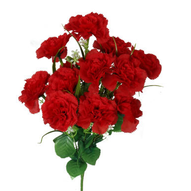 Czerwony Bukiet z 12 Goździków o Wysokości 45cm