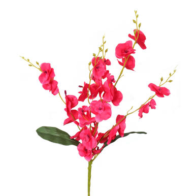 Bukiet 5 storczyk&oacute;w w kolorze czerwonym