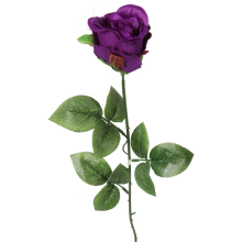 Róża pojedynka w kolorze fioletowym 68 cm
