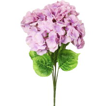 Bukiet czterech hortensji o barwie lilia-róż o wielkości 50 cm