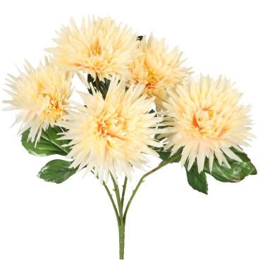 Kremowy Bukiet z 5 Astrów - Wielkość 50 cm