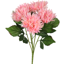 Różowy Bukiet Astry - 5 Szeregów, Wysokość 50 cm, Średnica 16 cm