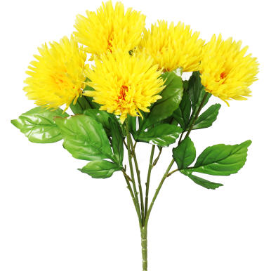 Bukiet 5 astrów w kolorze żółtym