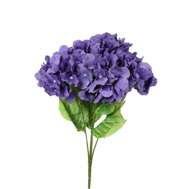 Bukiet 5 hortensji w kolorze fioletowym