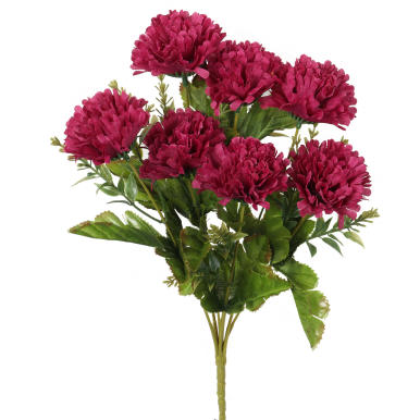 Bukiet 7 goździków w jesiennym odcieniu bordo