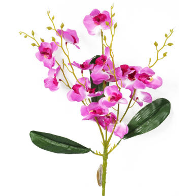 Bukiet 5 storczyków w kolorze różowym