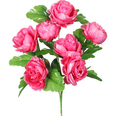 Bukiet 7 Różowych Piwonii o Wielkości 50 cm