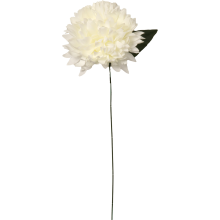 Chryzantema pojedynka w kolorze białym 65 cm