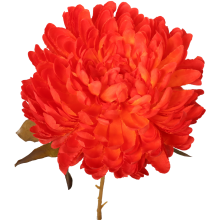 Chryzantema kwiat pojedynczy (jesienne odcienie) 70cm 