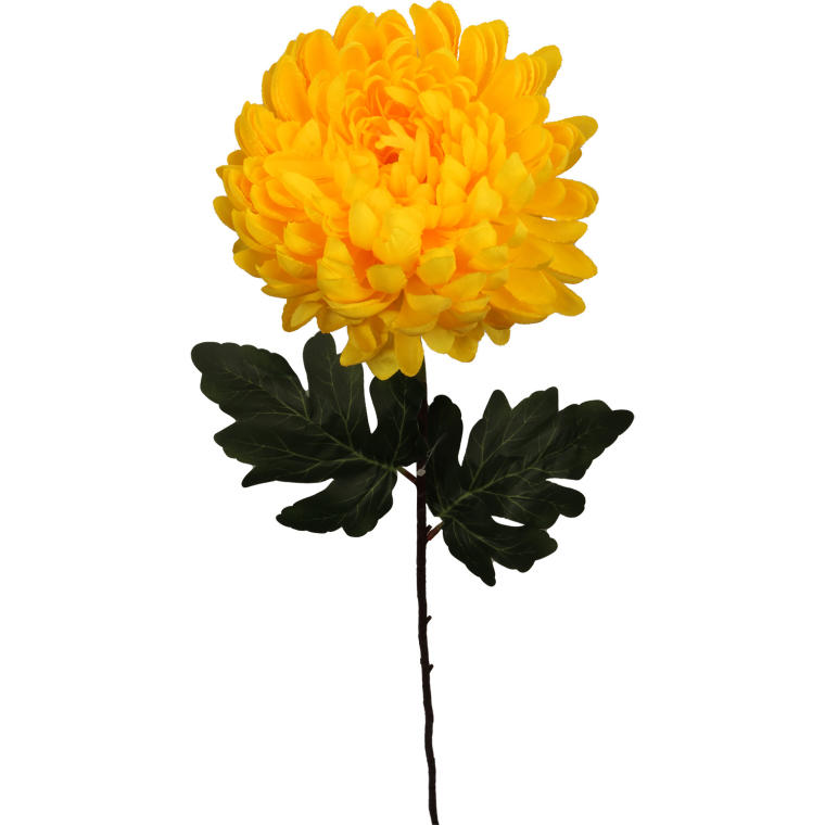 Chryzantema pojedynka żółta 80 cm