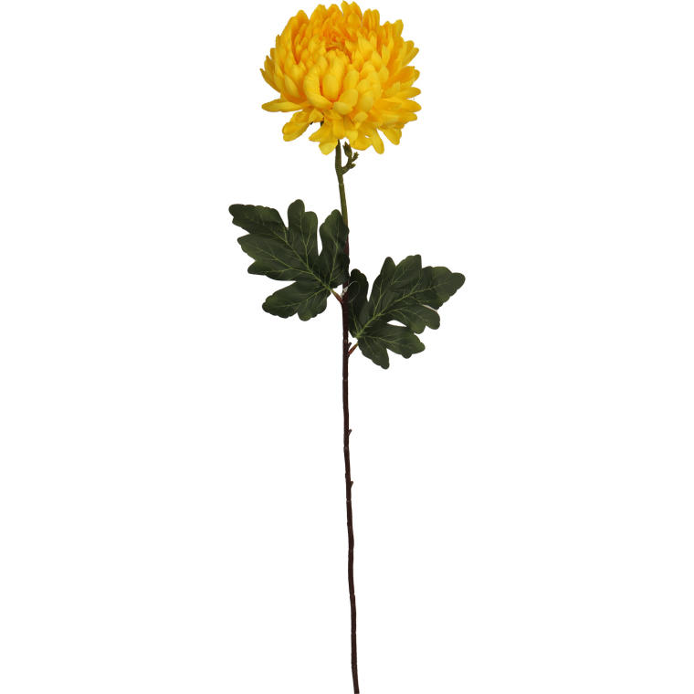 Długotrwała Chryzantema Strzępiasta Żółta 80 cm - Dekoracja Wnętrz i Kompozycji Kwiatowych