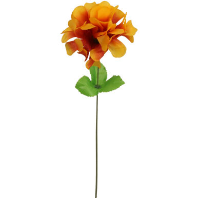 Chryzantema pojedynczy kwiat z listkiem w kolorze rudym