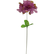 Chryzantema pojedynczy kwiat z listkiem w kolorze fioletowym