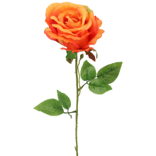 Róża pojedynczy kwiat w kolorze pomarańczowym 68 cm