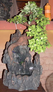 Wodospad skała bonsai