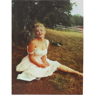 Obraz Marilyn Monroe na trawie płótno 26cm x 20cm