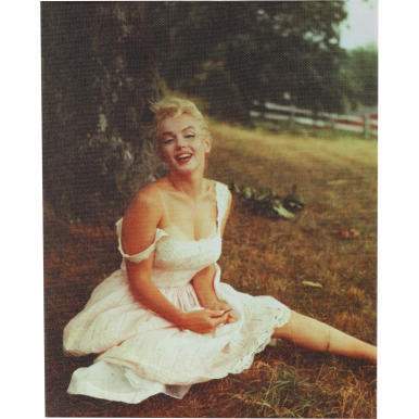 Obraz Marilyn Monroe na trawie płótno 45cm x 34cm
