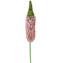 Gałązka z sztucznym kwiatem czosnku jasnoróżowego o wysokości 110 cm