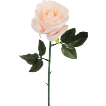 Róża pojedynka w kolorze kremowym 68 cm