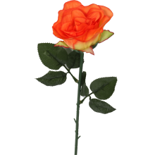 Róża pojedynka w kolorze pomarańczowym 68 cm