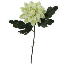Cynia Zielona - Sztuczny Kwiat o Wysokości 70 cm