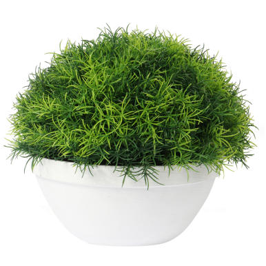 Trawa-kula w białej donicy 25 cm